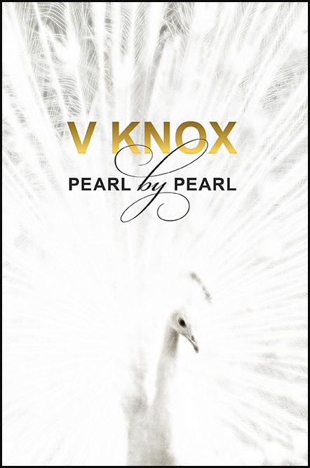 PBP_cover_Apr10.indd