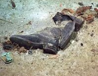 OCEAN BOOT - CROPPED